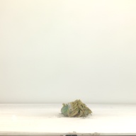 幅：11 (cm)×奥行：34 (cm)×高さ：6.9 (cm)／112 (g)，撮影・計測日：1995-08-31