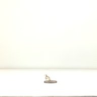 幅：8.4 (cm)×奥行：49 (cm)×高さ：4.6 (cm)／228 (g)，撮影・計測日：1995-09-06