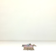 幅：21 (cm)×奥行：66 (cm)×高さ：8.1 (cm)／490 (g)，撮影・計測日：1995-09-06