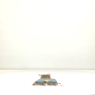 幅：20 (cm)×奥行：81 (cm)×高さ：1.9 (cm)／340 (g)，撮影・計測日：1995-09-06