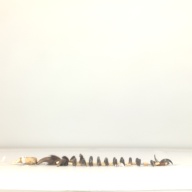 幅：7.0 (cm)×奥行：47 (cm)×高さ：5.1 (cm)／153 (g)，撮影・計測日：1995-08-31