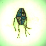 幅：7.1 (cm)×奥行：11 (cm)×高さ：0.7 (cm)／31 (g)，撮影・計測日：1995-08-14