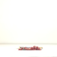 幅：19 (cm)×奥行：44 (cm)×高さ：3.1 (cm)／161 (g)，撮影・計測日：1995-09-06