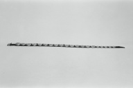 幅：111 (cm)×奥行：1.2 (cm)×高さ：5.0 (cm)／320 (g)，撮影・計測日：1986-11-07