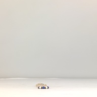 幅：5.5 (cm)×奥行：35 (cm)×高さ：0.9 (cm)／49 (g)，撮影・計測日：1994-05-30