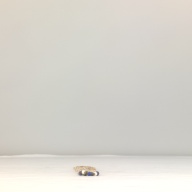 幅：5.6 (cm)×奥行：35 (cm)×高さ：1.0 (cm)／42 (g)，撮影・計測日：1994-05-30