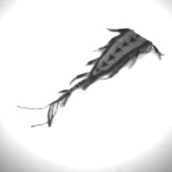 幅：5.8 (cm)×奥行：28 (cm)×高さ：0.9 (cm)／36 (g)，撮影・計測日：1994-03-28