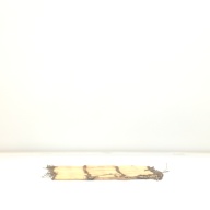 幅：43 (cm)×奥行：34 (cm)×高さ：1.4 (cm)／1.05 (kg)，撮影・計測日：1995-09-11