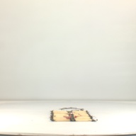 幅：26 (cm)×奥行：77 (cm)×高さ：2.3 (cm)／1.17 (kg)，撮影・計測日：1995-08-24
