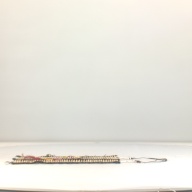 幅：26 (cm)×奥行：77 (cm)×高さ：2.3 (cm)／1.17 (kg)，撮影・計測日：1995-08-24