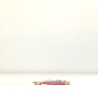 幅：14 (cm)×奥行：14 (cm)×高さ：1.1 (cm)／192 (g)，撮影・計測日：1995-08-24