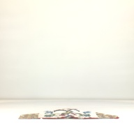 幅：64 (cm)×奥行：51 (cm)×高さ：5.9 (cm)／665 (g)，撮影・計測日：1995-08-29