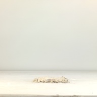 幅：16 (cm)×奥行：31 (cm)×高さ：2.5 (cm)／48 (g)，撮影・計測日：1995-08-24