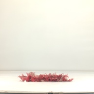 幅：41 (cm)×奥行：52 (cm)×高さ：7.1 (cm)／333 (g)，撮影・計測日：1995-08-31