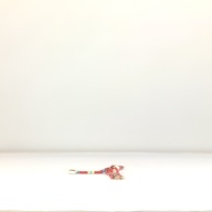 幅：41 (cm)×奥行：15 (cm)×高さ：2.9 (cm)／76 (g)，撮影・計測日：1995-09-07