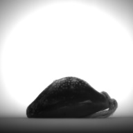 幅：2.4 (cm)×奥行：3.2 (cm)×高さ：1.6 (cm)／9 (g)，撮影・計測日：1994-03-30