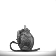 幅：3.0 (cm)×奥行：5.5 (cm)×高さ：1.9 (cm)／23 (g)，撮影・計測日：1994-03-29