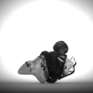 幅：1.5 (cm)×奥行：3.0 (cm)×高さ：2.1 (cm)／6 (g)，撮影・計測日：1994-03-29