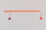 幅：4.0 (cm)×全長：109 (cm)／57 (g)，撮影・計測日：2006-12-12