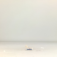幅：3.6 (cm)×奥行：31 (cm)×高さ：0.9 (cm)／37 (g)，撮影・計測日：1995-08-23