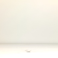 幅：2.1 (cm)×奥行：21 (cm)×高さ：0.5 (cm)／10 (g)，撮影・計測日：1998-01-19