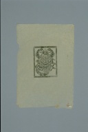 幅：51 (cm)×高さ：74 (cm)／7 (g)，撮影・計測日：1994-07-20