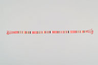 幅：5.5 (cm)×全長：202 (cm)／193 (g)，撮影・計測日：2006-10-24