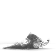 幅：36 (cm)×奥行：40 (cm)×高さ：14 (cm)／294 (g)，撮影・計測日：1985-06-10