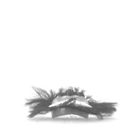 幅：29 (cm)×奥行：33 (cm)×高さ：11 (cm)／208 (g)，撮影・計測日：1985-06-10