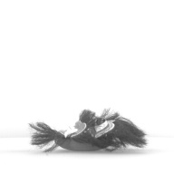 幅：29 (cm)×奥行：33 (cm)×高さ：11 (cm)／208 (g)，撮影・計測日：1985-06-10