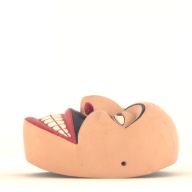 幅：11 (cm)×奥行：15 (cm)×高さ：7.9 (cm)／17 (g)，撮影・計測日：2002-11-22