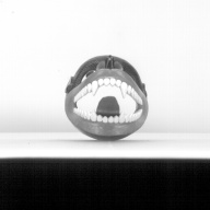 幅：14 (cm)×奥行：26 (cm)×高さ：14 (cm)／338 (g)，撮影・計測日：1985-06-07