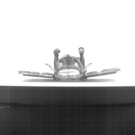 幅：78 (cm)×奥行：86 (cm)×高さ：29 (cm)／5.77 (kg)，撮影・計測日：1985-06-10