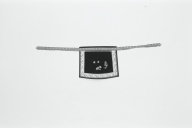 幅：112 (cm)×高さ：29 (cm)／55 (g)，撮影・計測日：1984-12-19