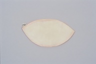 幅：90 (cm)×高さ：9.1 (cm)／23 (g)，撮影・計測日：1994-05-31