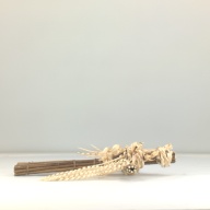 幅：1.0 (cm)×奥行：54 (cm)×高さ：1.1 (cm)／301 (g)，撮影・計測日：1995-11-06