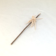 幅：38 (cm)×奥行：57 (cm)×高さ：16 (cm)／10 (g)，撮影・計測日：1995-11-06