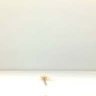 幅：38 (cm)×奥行：57 (cm)×高さ：16 (cm)／10 (g)，撮影・計測日：1995-11-06