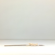 幅：38 (cm)×奥行：57 (cm)×高さ：16 (cm)／10 (g)，撮影・計測日：1995-11-06