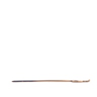 幅：2.3 (cm)×奥行：15 (cm)×高さ：0.8 (cm)／7 (g)，撮影・計測日：1998-07-23