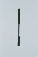 幅：5.9 (cm)×高さ：98 (cm)／26 (g)，撮影・計測日：1993-07-23