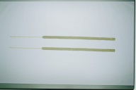 幅：8.5 (cm)×高さ：342 (cm)／160 (g)，撮影・計測日：1993-07-23