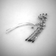幅：6.6 (cm)×奥行：21 (cm)×高さ：2.2 (cm)／33 (g)，撮影・計測日：1997-12-11