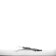 幅：6.6 (cm)×奥行：21 (cm)×高さ：2.2 (cm)／33 (g)，撮影・計測日：1997-12-11