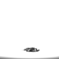 幅：1.7 (cm)×奥行：5.6 (cm)×高さ：0.5 (cm)／4 (g)，撮影・計測日：1994-08-30