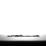 幅：3.8 (cm)×奥行：19 (cm)×高さ：0.8 (cm)／11 (g)，撮影・計測日：1994-08-15