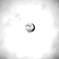 幅：0.5 (cm)×奥行：0.7 (cm)×高さ：0.5 (cm)／2 (g)，撮影・計測日：1996-02-07