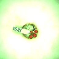 幅：1.5 (cm)×奥行：1.5 (cm)×高さ：0.3 (cm)／1 (g)，撮影・計測日：1996-02-07