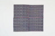 横：120 (cm)×縦：110 (cm)／733 (g)，撮影・計測日：2005-03-24