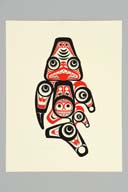 横：43 (cm)×縦：56 (cm)／43 (g)，撮影・計測日：2009-03-17